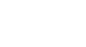 PakAmGlobal Logo 2025